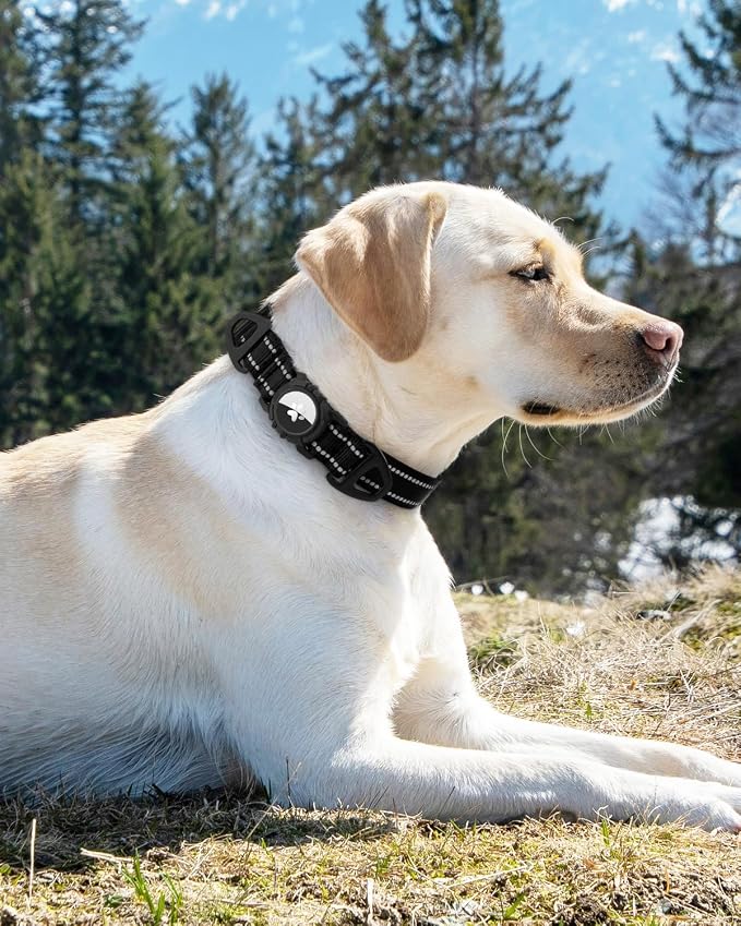 Joytale Airtag Dog Collar, Reflective Pet Collar - Image 8