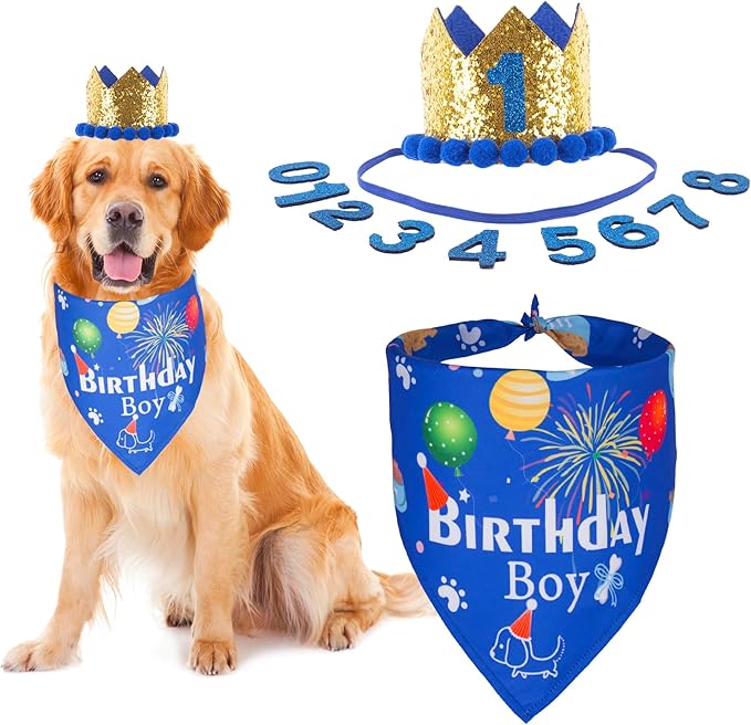 ADOGGYGO Dog Bandana Hat Set for Birthday Party Supply, Boy Girl Pet Birthday by ADOGGYGO