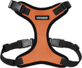 Voyager Step-in Pet Harness by BestPetSuppliesLLC