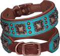 PET ARTIST Soft Padded Leather Dog Collar, 2 inch Wide Genuine Leather Dog by PETARTIST