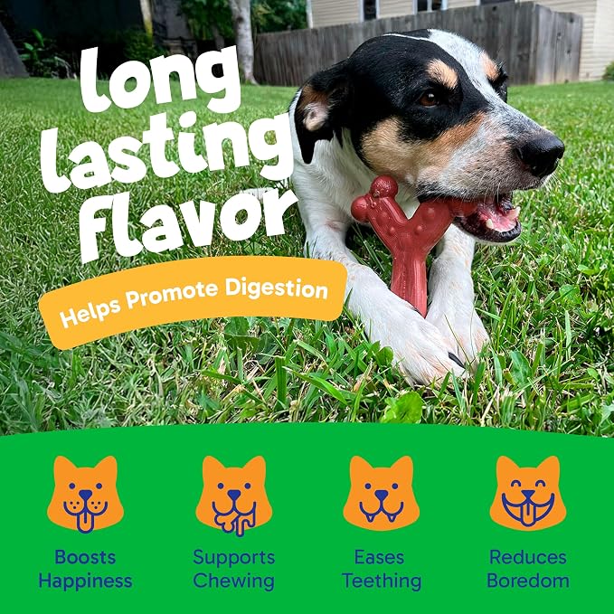 Chew'ems Durable Chewy Dog Toys | Long-Lasting & Flavorful Chew Dog Toys - Image 4