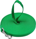Long Dog Puppy Obedience Recall Training Agility Lead, Leash by DowntownPetSupply
