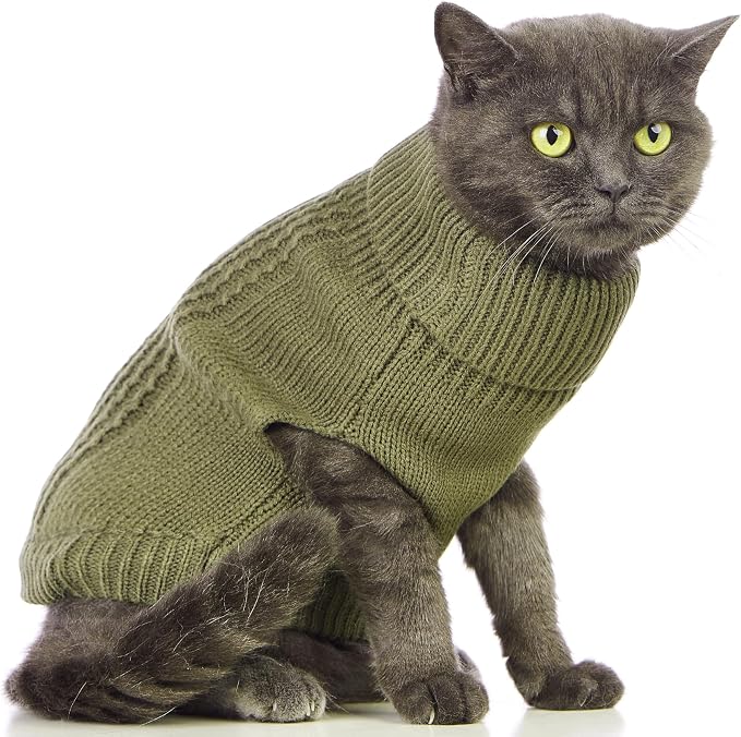 Stretchy Cat Sweater - Image 3