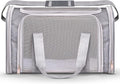 Pet Carrier for Cats, Guinea Pigs – Airline Approved Soft-Sided Travel Bag by VerticalPro