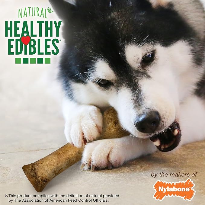 Nylabone Healthy Edibles Natural Dog Chews Long Lasting Bacon Flavor Treats - Image 7