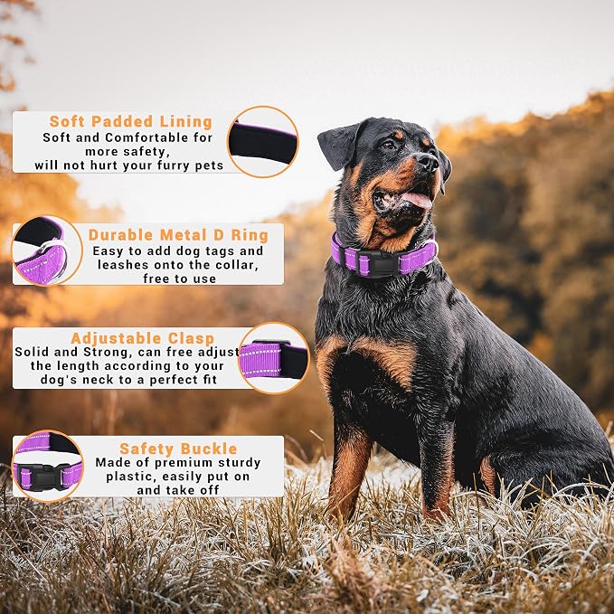 2 Pack Reflective Dog Collar - Image 2