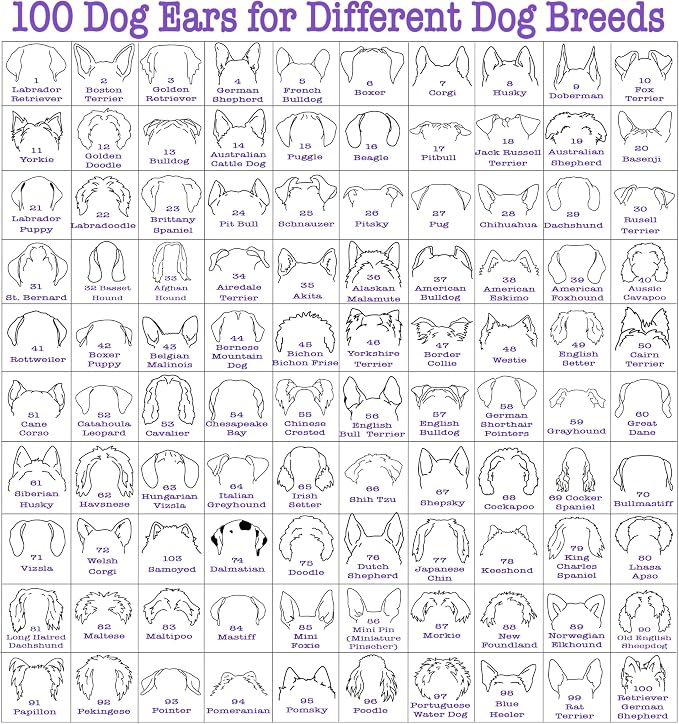 Custom Dog Mom Shirt for Women Pet Ears Sweatshirt - Image 4