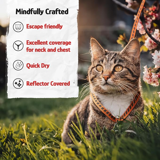 Filbert Cat Harness and Leash Set - Image 7